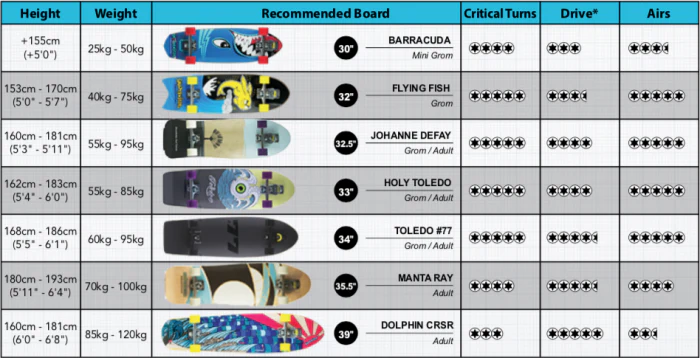 39" DOLPHIN CRUISER 2.0 - Image 3