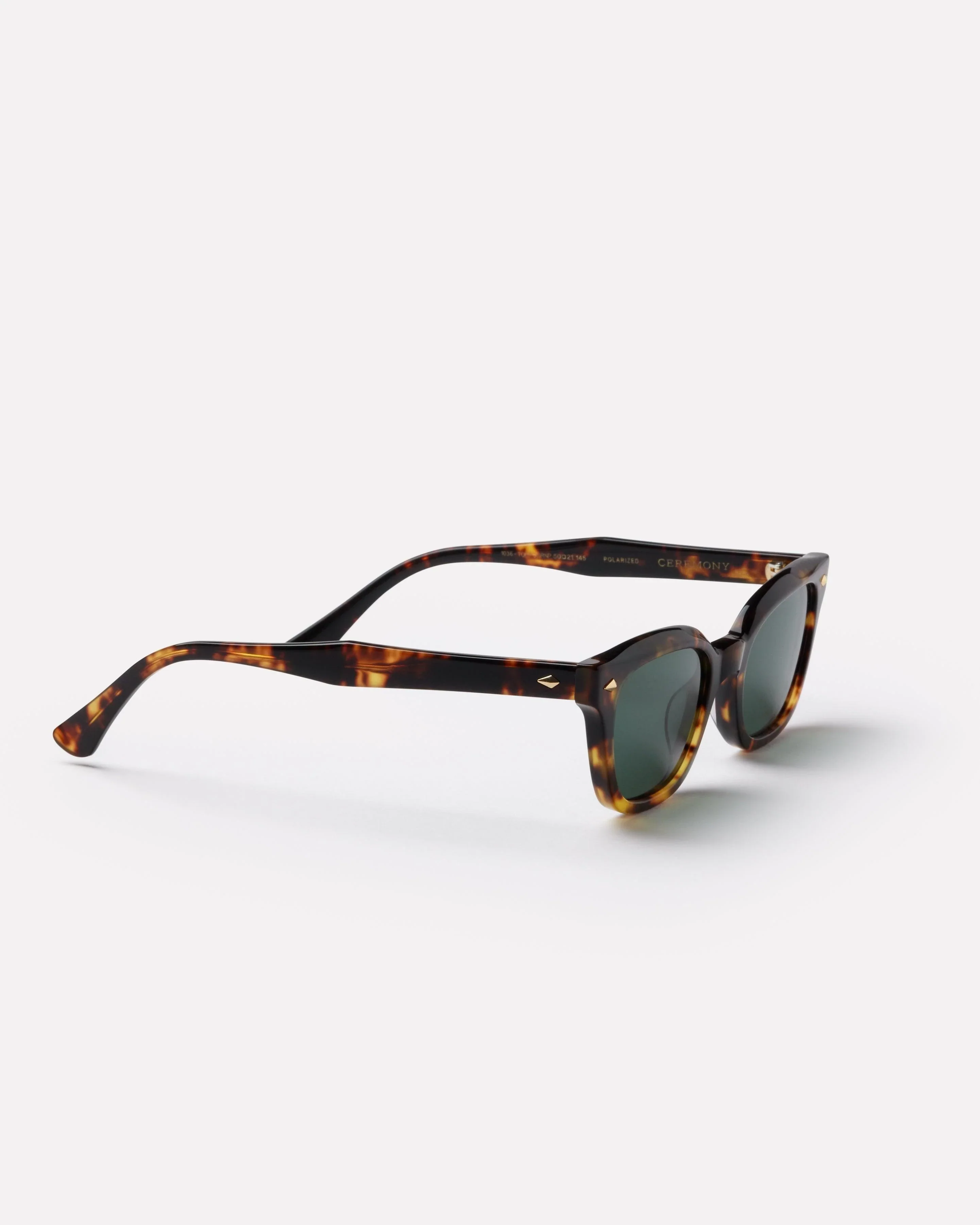 CEREMONY - TORTOISE POLISHED/GREEN POLARIZED - Image 6